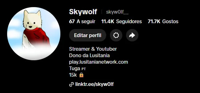 TikTok audience